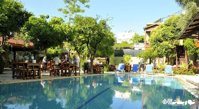 نمای استخر روباز  هتل اسکار